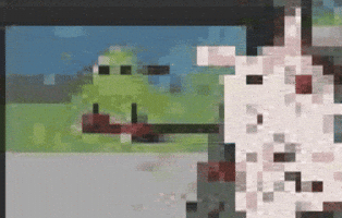 Hd GIF