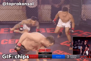 Chips GIF