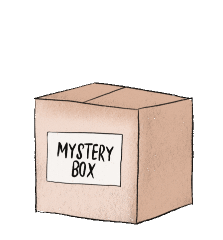 Surprise Mystery Box Sticker by Fettle & Fire
