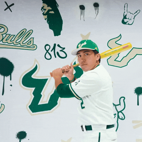 South Florida Baseball GIF by USF Athletics
