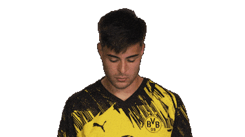 Borussia Dortmund Sticker by Bundesliga