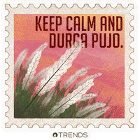 keep calm durga puja GIF by Reliance Trends