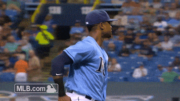 tampa bay rays GIF by MLB