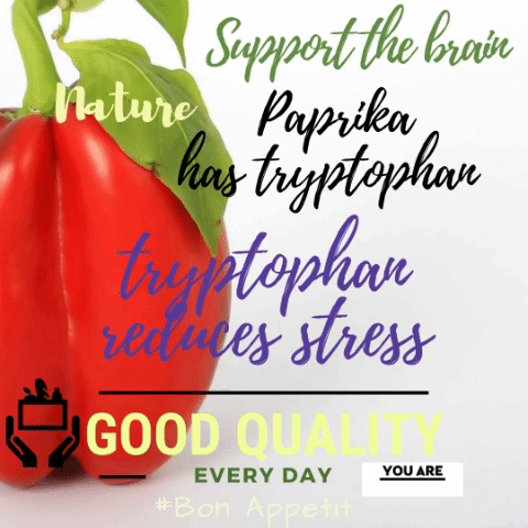 Gym Food Stress Free GIF