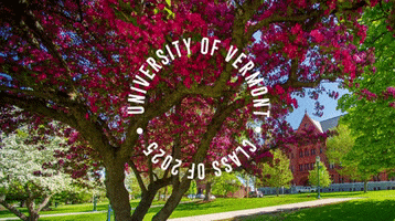 GIF by University of Vermont