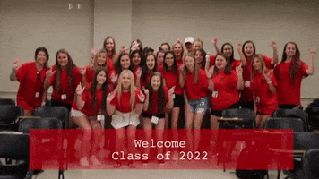 200.gif?cid=fc005b089403ab052547558f296262d7411aff29ed8f3a01&rid=200.gif&ct=g