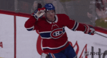 Happy Ice Hockey GIF by NHL