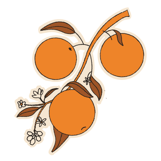 Orange Blossom Sticker by The Salty Greek