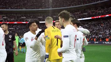Well Done Handshake GIF by England