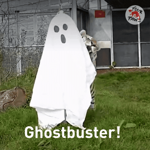 Not Scared Ghost GIF by FOUR PAWS