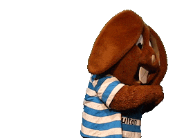 Heracles Almelo Thumbs Up Sticker by Beerze Bulten