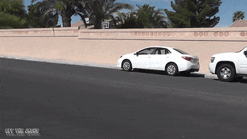 200.gif?cid=fc005b0878b32dea19d3c5a61eb11aa5879ce5000ac1f68d&rid=200.gif&ct=g