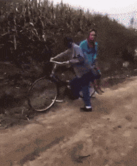 Acqua Bike GIFs - Find & Share on GIPHY