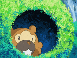 Happy Cheer GIF by Pokémon