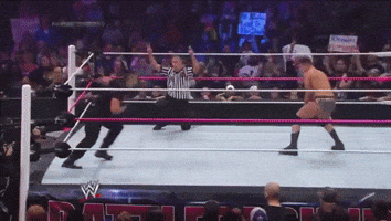 Wwe GIF