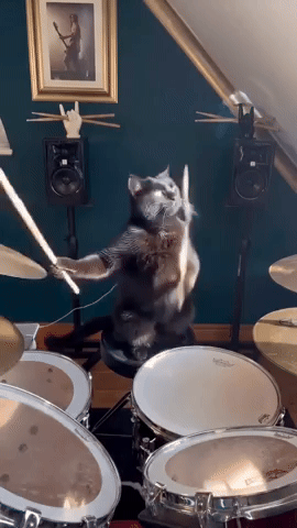 Music GIF