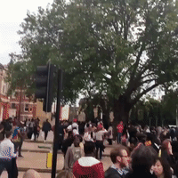 London Black Lives Matter Protest Shuts Down Traffic