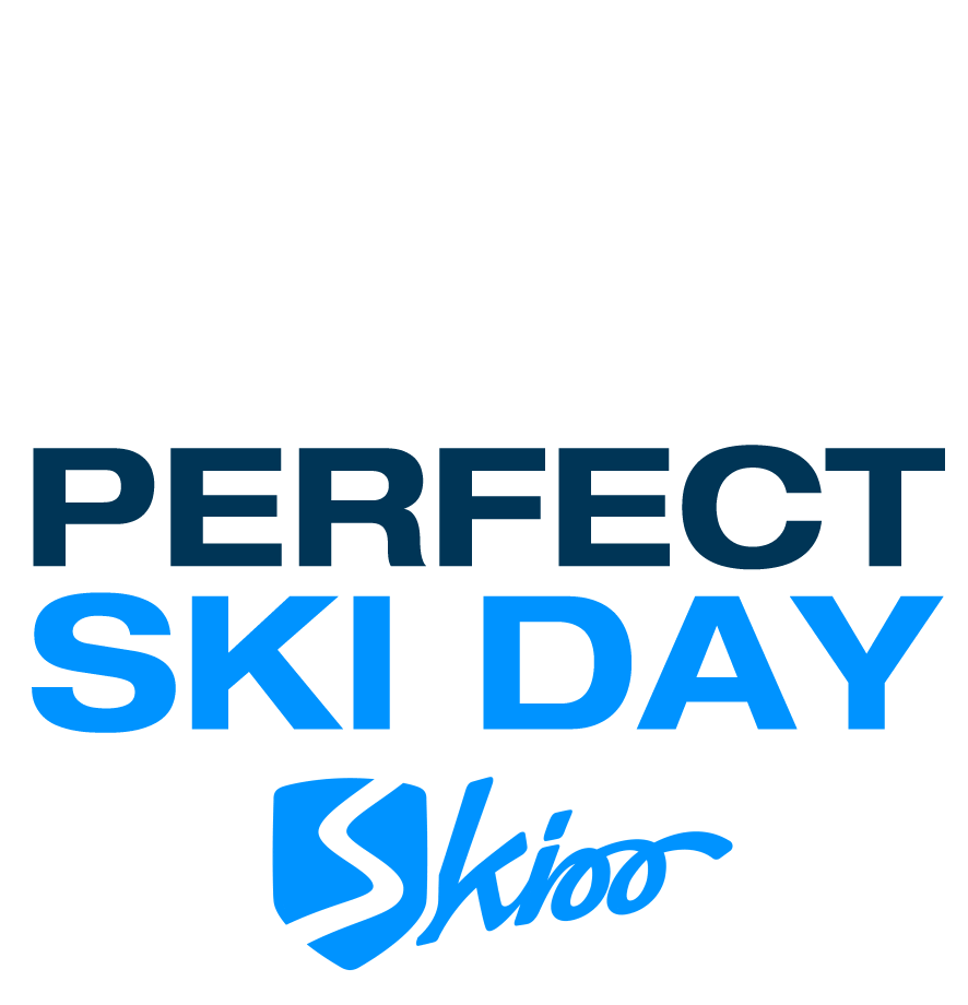 Skioo Sticker