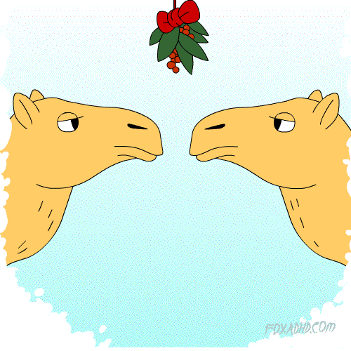 Miseltoe GIFs Get the best GIF on GIPHY