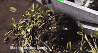 cotton candy spinning GIF by Swamp People