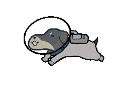 헤이데어 Sticker