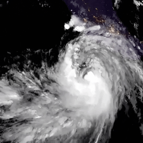 Storming Tropical Storm GIF by Storyful