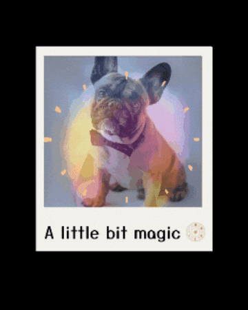MyPetAura GIF