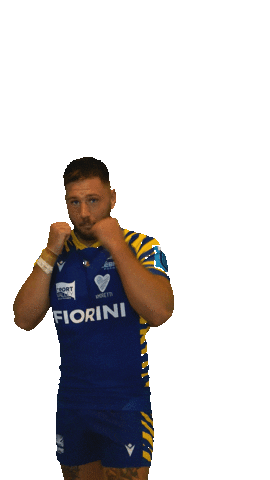 Rugby Italia Sticker by Zebre Parma