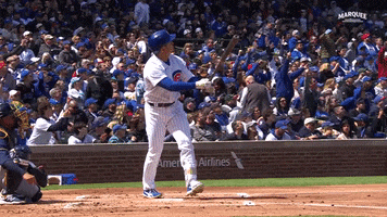 Cubs Homerun GIF by Marquee Sports Network