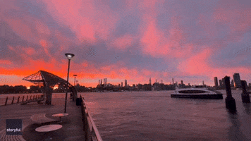New York Spring GIF by Storyful