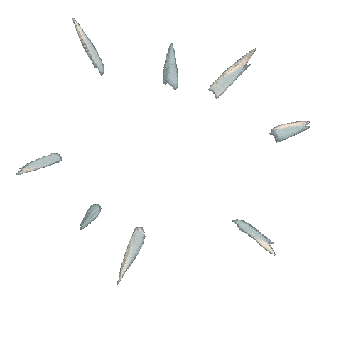 Effects Жми Sticker