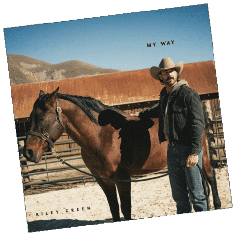 Countrysong Sticker by Riley Green