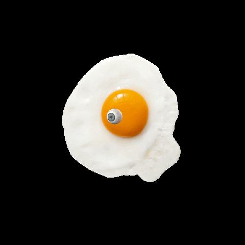 anamariarojasl eyes egg eye ball sunny side GIF