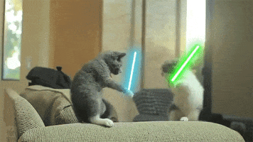 Digital compilation gif. Two cats fight with blue and green light sabers on a beige couch cushion in a bright living room setting. 