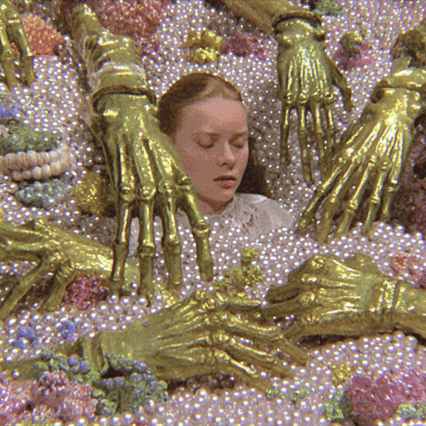 GIF by ellaknor