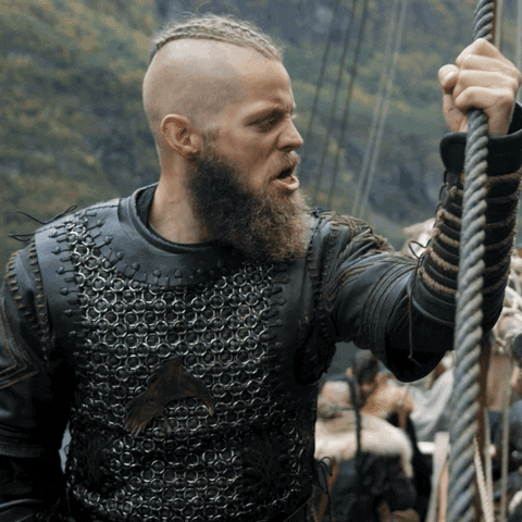 Vikings GIF by THE BEARD STRUGGLE