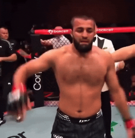 Ufc Aze GIF