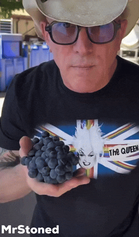 Maynard James Keenan Tool GIF