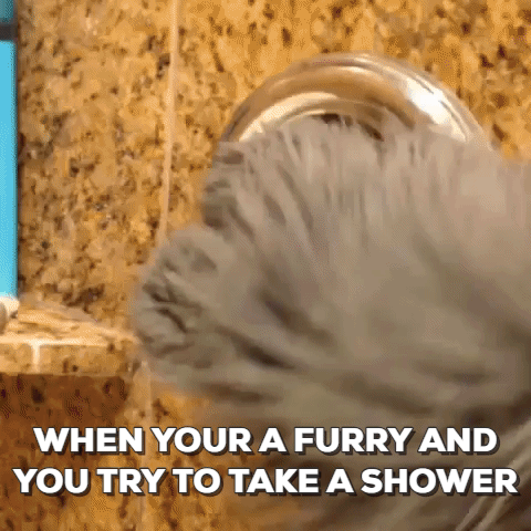 hollythefoxwolf #furry #furries #shower #sup #bitch #cosmic #wuffy GIF