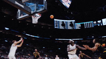 Davis Gonzaga GIF by GonzagaBasketball