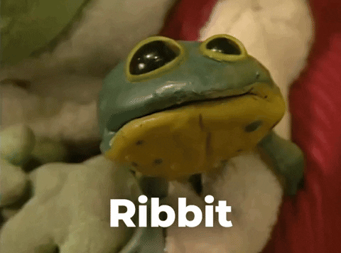 Frog meme gif