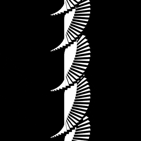 black and white art GIF by Mathew Lucas 