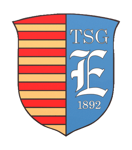 TSGEverode Sticker