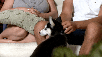 Ace Watching Tv GIF by Gogglebox Australia