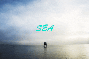 200.gif?cid=fc005b08ed06bbc8b624701544e6ec7091bfefe889bef399&rid=200.gif&ct=g