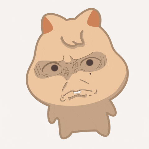 Face What GIF