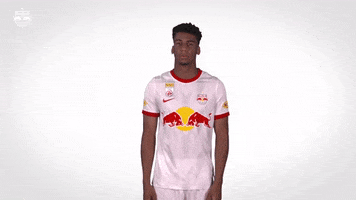 No Way Whatever GIF by FC Red Bull Salzburg