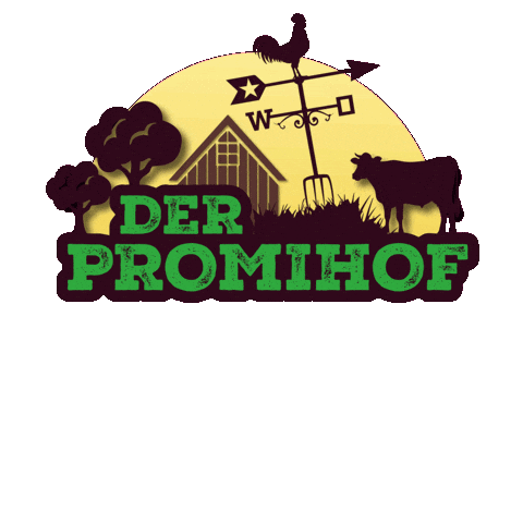 Rtl2 Streamen Sticker by RTLZWEI