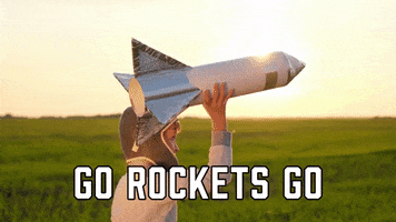 Houston Rockets Sport GIF by Sealed With A GIF