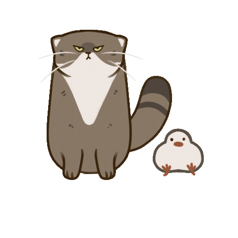 Cat Sticker